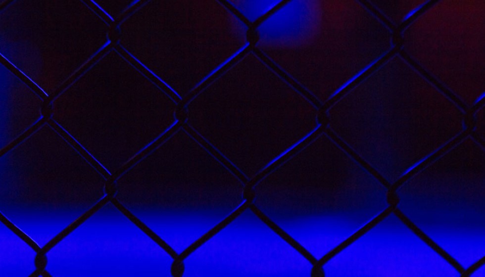 The Thrill of Fight Night Betting: A Comprehensive Guide